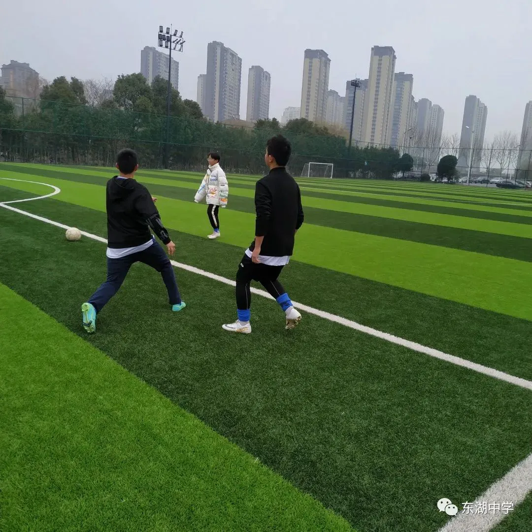 篮球一周的训练计划怎么写_1